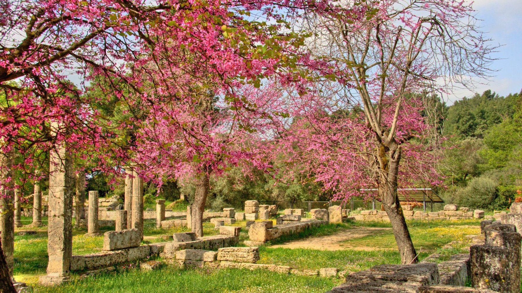 Ancient Olympia